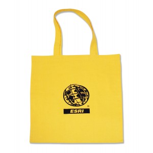 Budget Canvas Tote Bag
