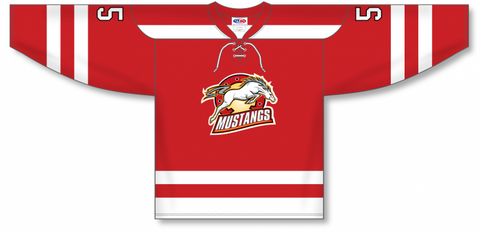 Athletic Knit® Custom Pro Hockey Jerseys (FULL CUSTOM) H840-PATTERN-188