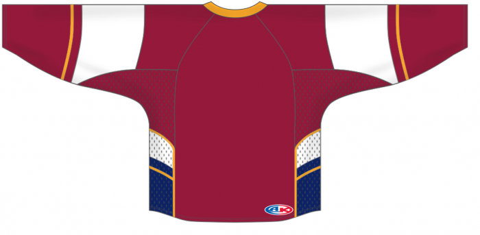 Athletic Knit® Custom Pro Hockey Jerseys (FULL CUSTOM) H855-PATTERN-117